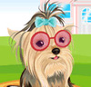 Hundebaby Dress-up